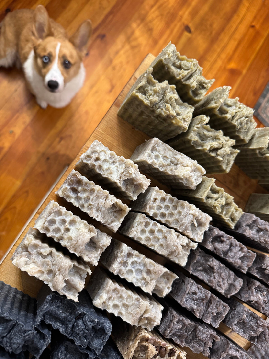 Goat Milk Soap vs. Store-Bought Soap: What’s the Difference?