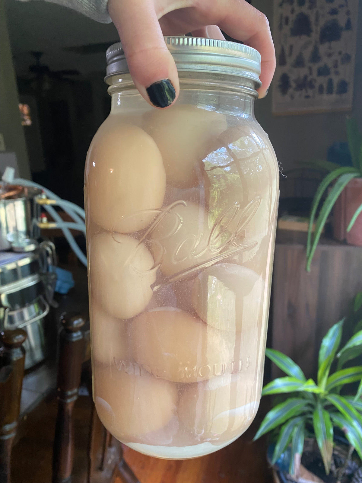 Water Glassing Eggs: A Timeless Preservation Method