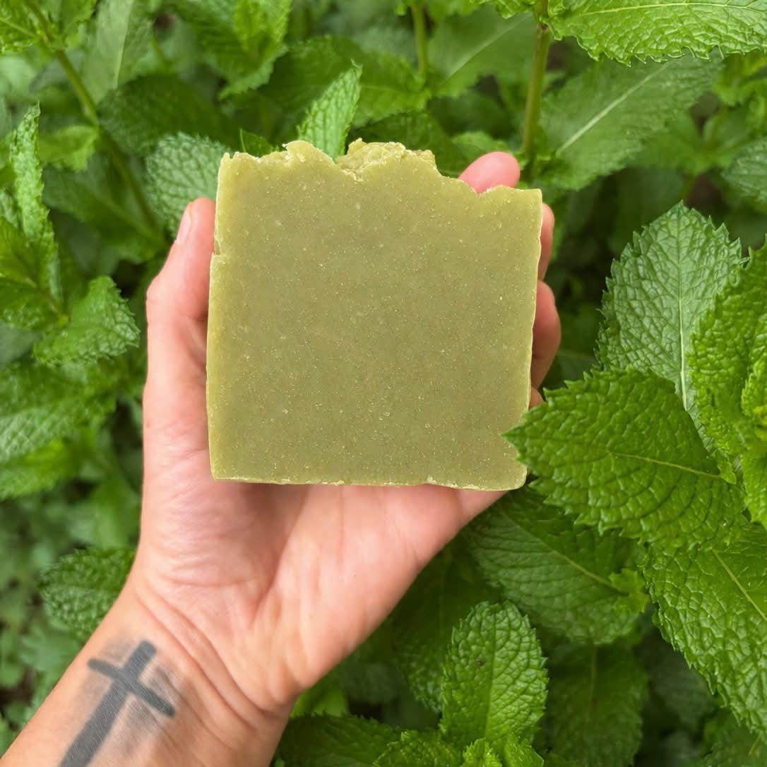 Tea tree + Peppermint